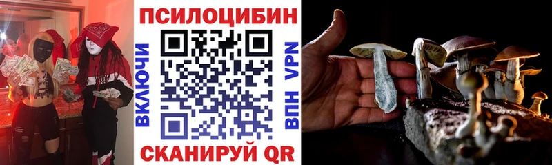 Псилоцибиновые грибы прущие грибы  Купить  Ардатов 